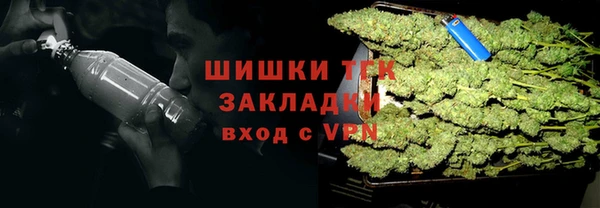 spice Михайлов