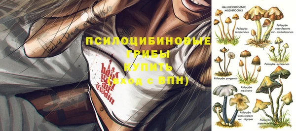 spice Михайлов
