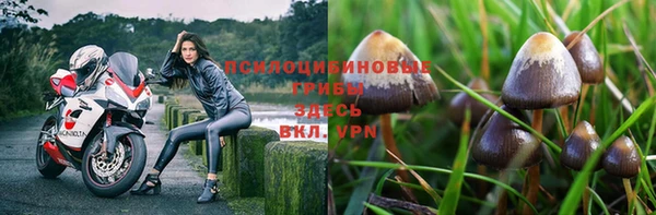винт Михайловск